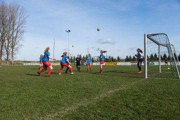 Bild 293 - C-Juniorinnen SV Steinhorst/Labenz - TSV Friedrichsberg-Busdorf : Ergebnis: 5:0